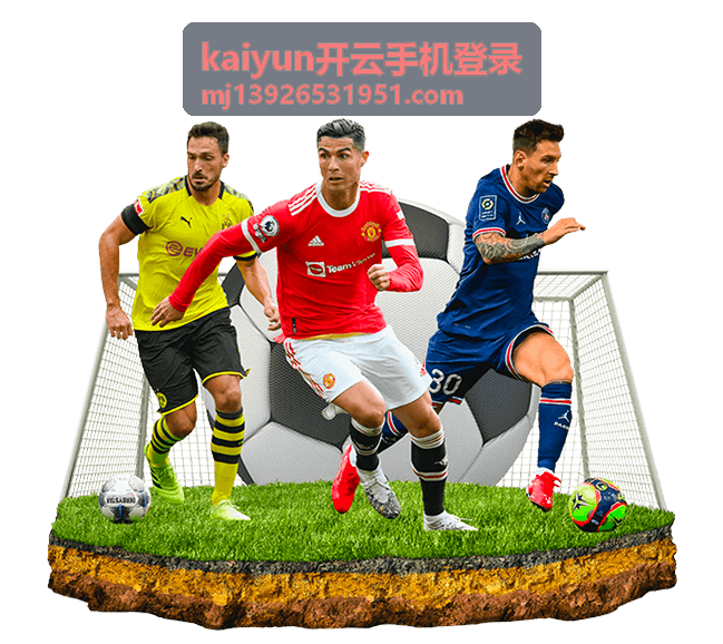 kaiyun开云手机登录账号安全设置示意
