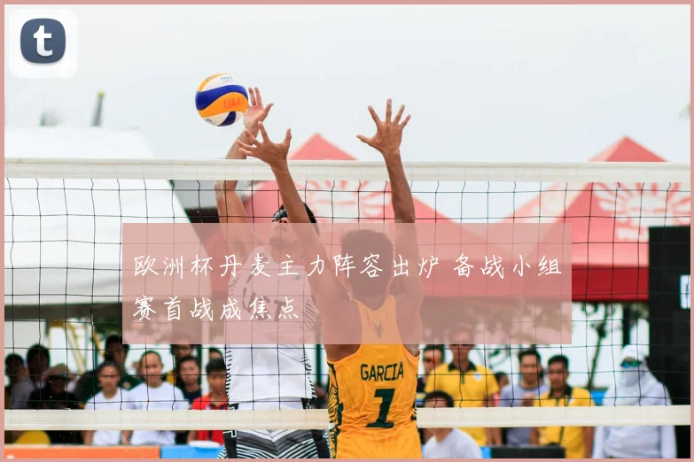 欧洲杯丹麦主力阵容出炉 备战小组赛首战成焦点