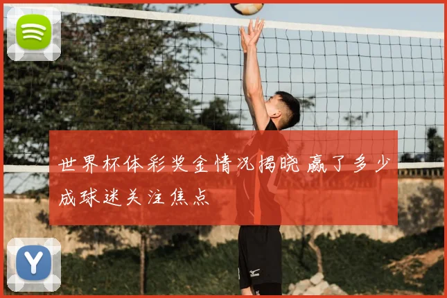 世界杯体彩奖金情况揭晓 赢了多少成球迷关注焦点